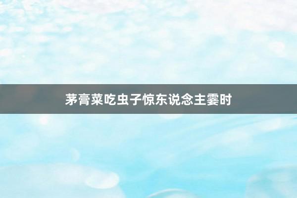 茅膏菜吃虫子惊东说念主霎时