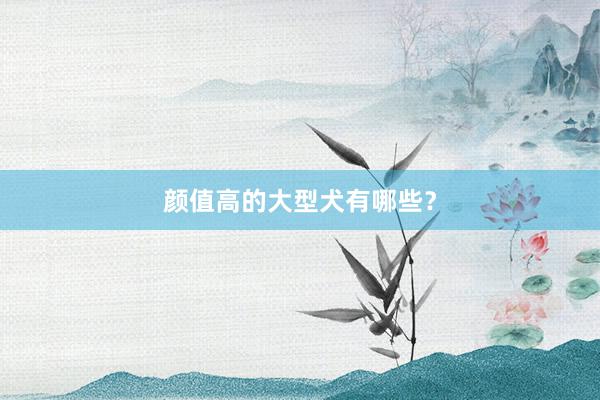 颜值高的大型犬有哪些？