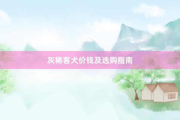 灰稀客犬价钱及选购指南