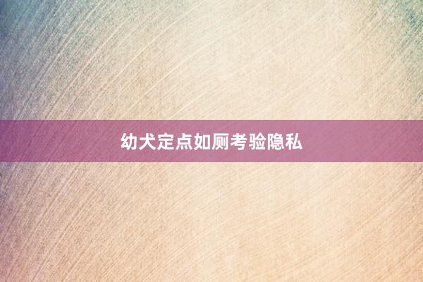 幼犬定点如厕考验隐私